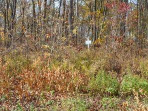Beautiful wooded lot at upscale subdivision, the Preserve.
