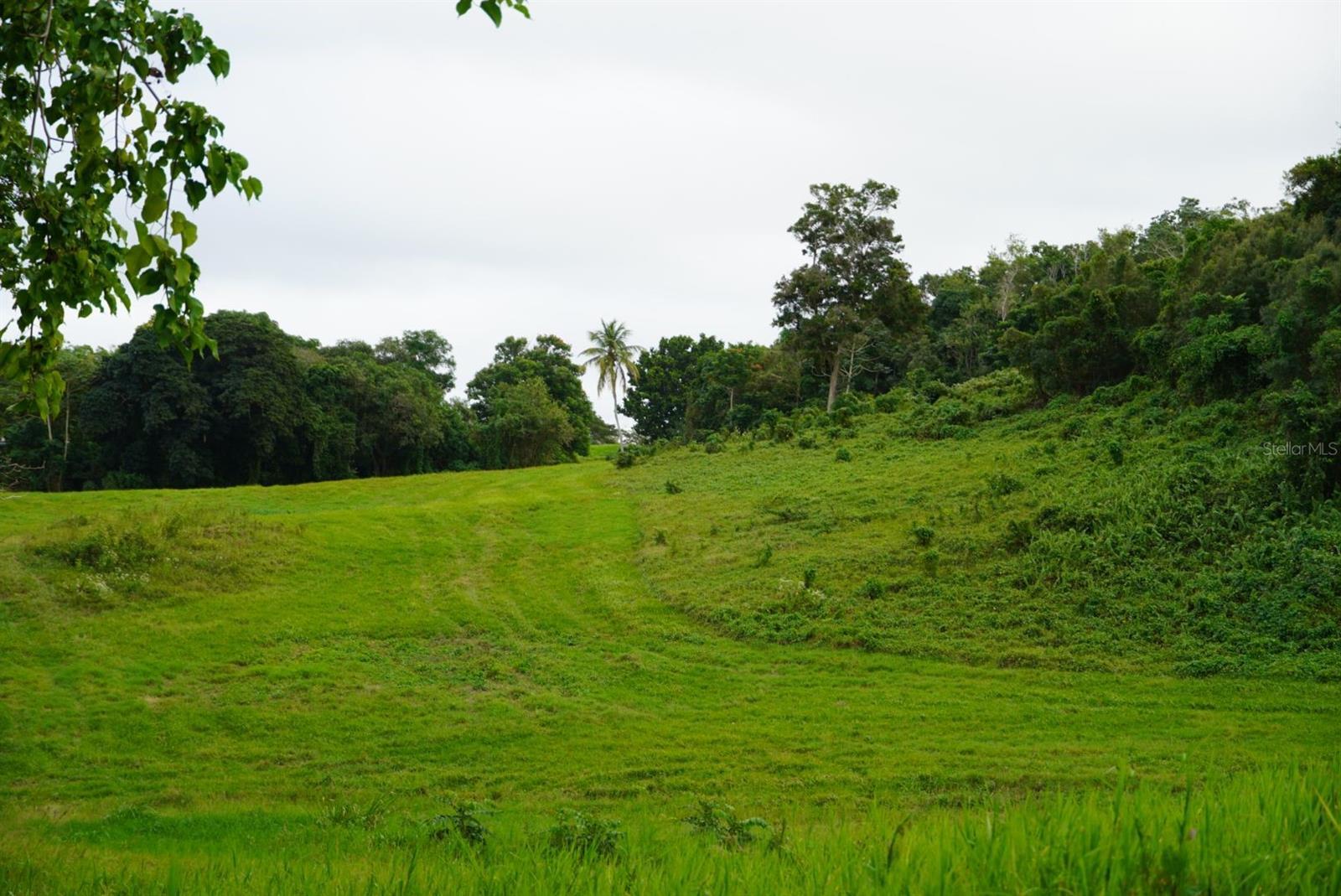 Agriculture Land
