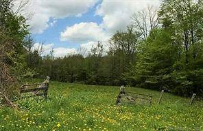 Norfolk Country Land with Barn Opportunity Awaits in Norfolk, CT Land with Charming Barn !