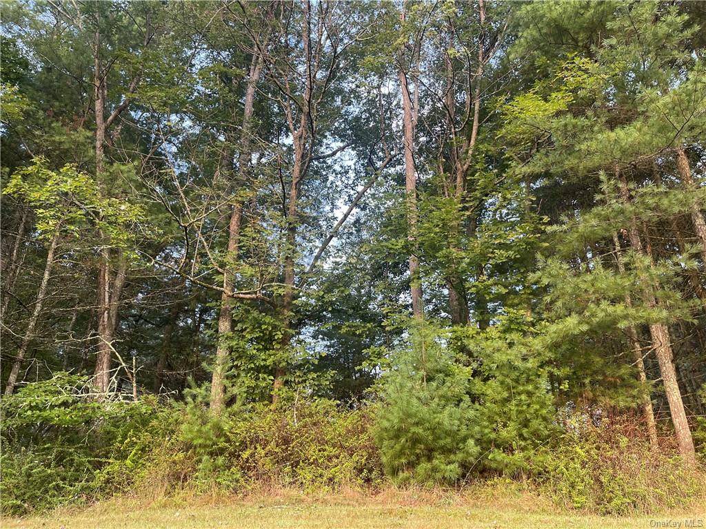 31. 94 ACRES zoned for residential use in Yulan, NY.