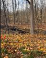 View of undeveloped land