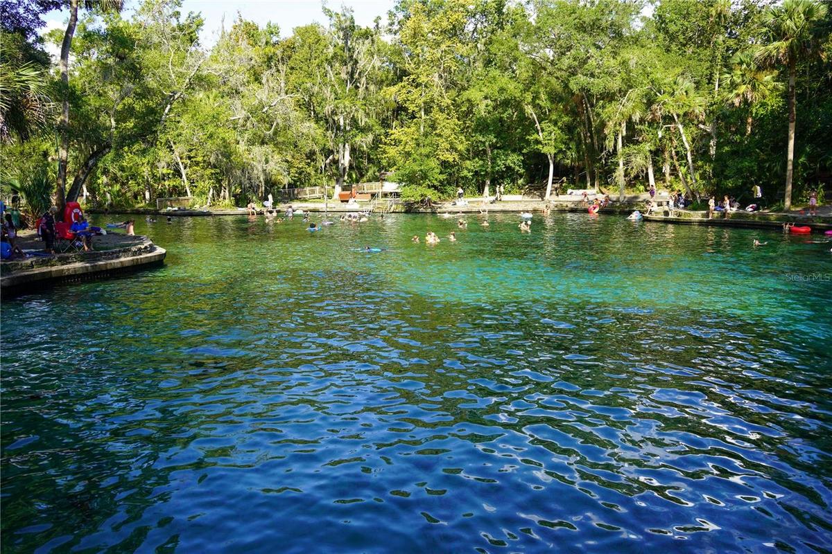 Wekiwa Springs State Park adjacent
