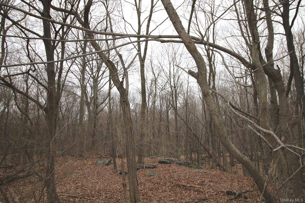 Amazing opportunity to build your dream home on this beautiful, wooded 1 acre lot.