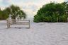 Toes belong here, come to the concerts and picnics planned for the Lido Shores members...