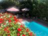 Outdoor pool featuring a patio area and outdoor dining area