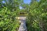 View and walkway to new dock