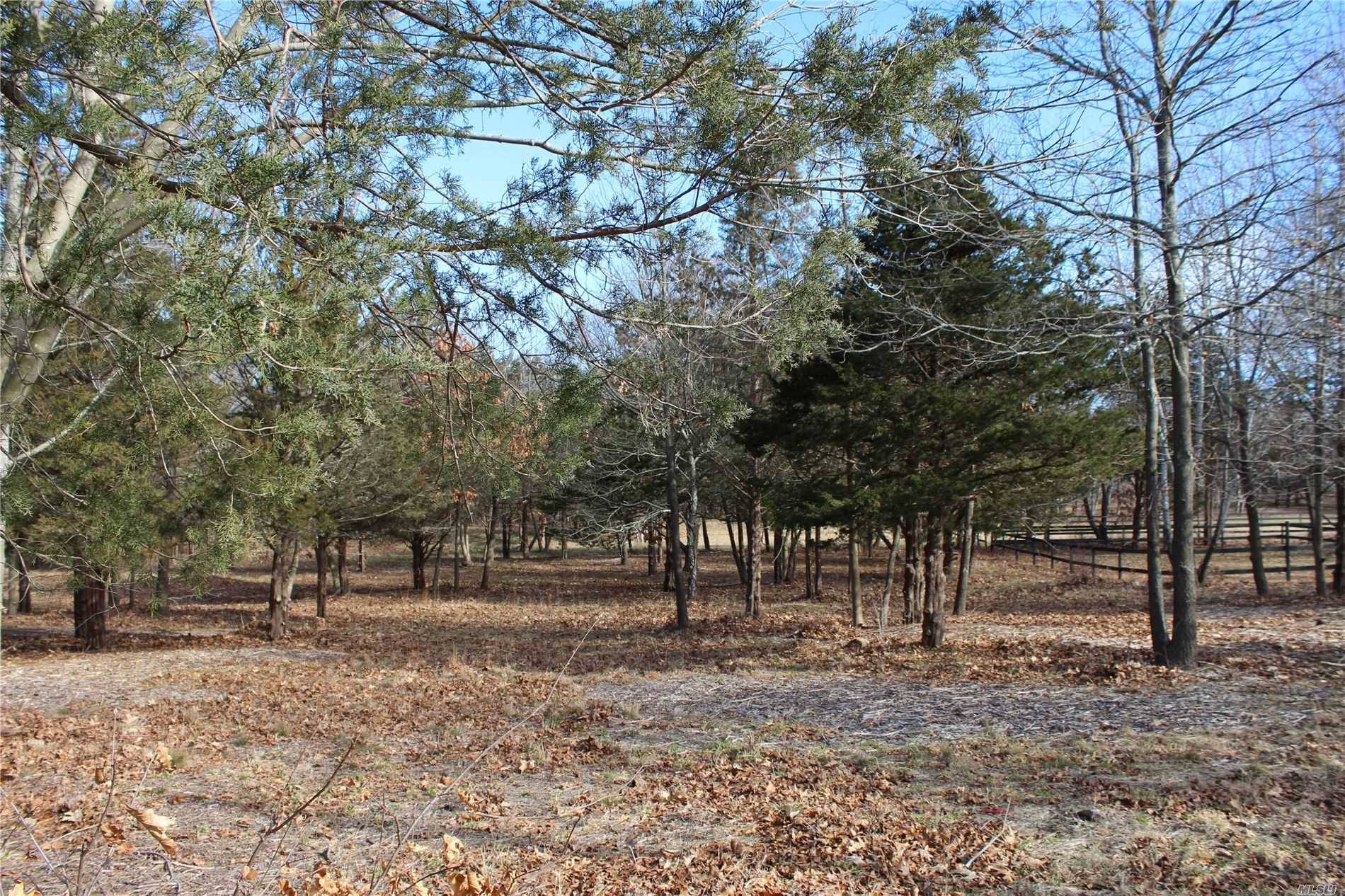 Aquebogue Residential Lot in Farm Country Horses Permitted Partially cleared.