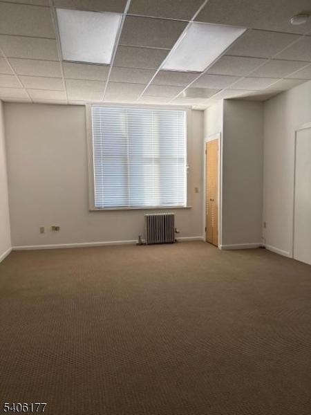 Carpet in all offices