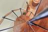 Spiral Staircase Feature