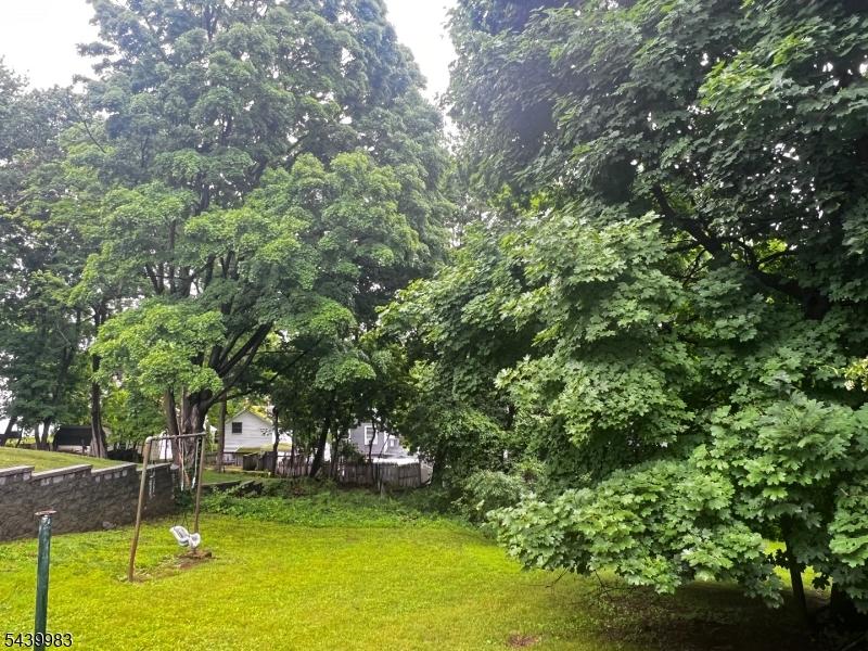 Huge Backyard