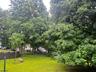 Huge Backyard