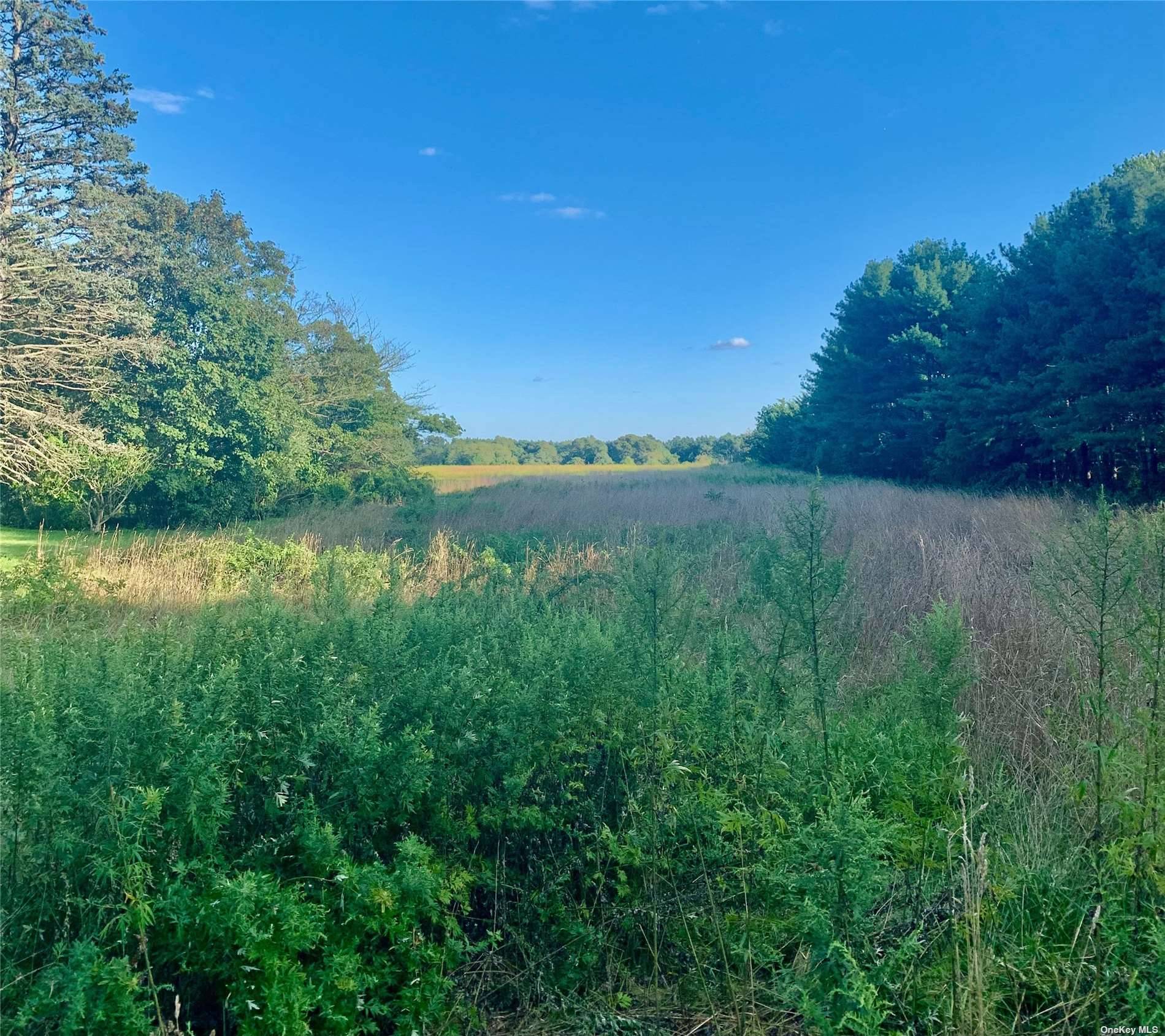 9. 5 Acres of Prime North Fork Farmland Agricultural Use w 150 feet of Frontage on Main Road, NYS Rt 25 in Rural Corridor.