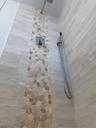 Master shower