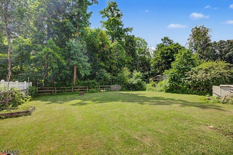 View of Backyard