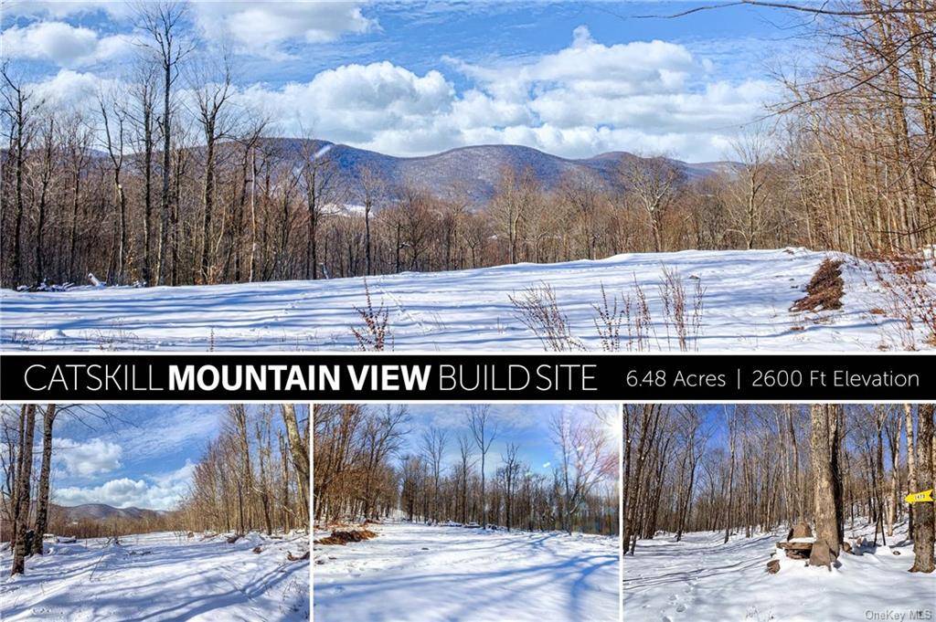 6. 48 Acre Building Lot with Catskill Mountain Views Among the most frequently requested features of a Catskill Property is a private setting with a great mountain view at the ...