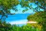4603 Deck View Living Shoreline