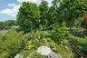 Arial Shot of Backyard