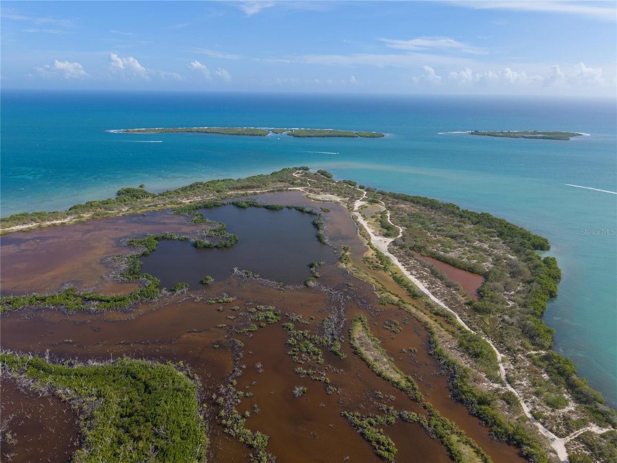 Aerial Coastal View