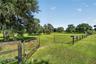 Fenced Paddocks with Water Available