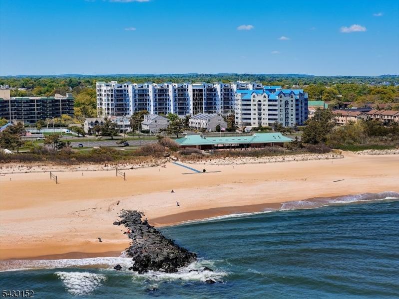 The Best of the Jersey Shore