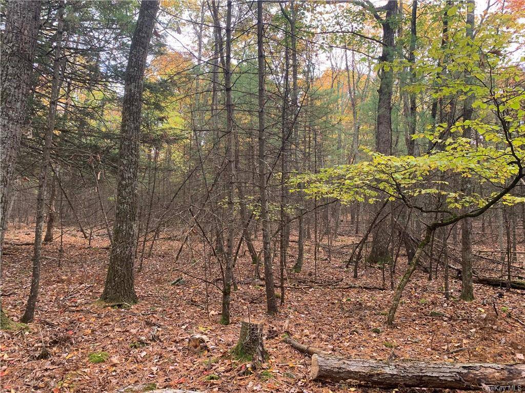 Here is your chance to buy your very own wooded wonderland lot upstate.