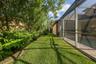 Lush landscaped backyard