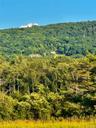 Unparalleled PRIVACY surrounded by thousands of acres of undeveloped land! The estate property looking up from the Wickham Lake below! The Appalachi