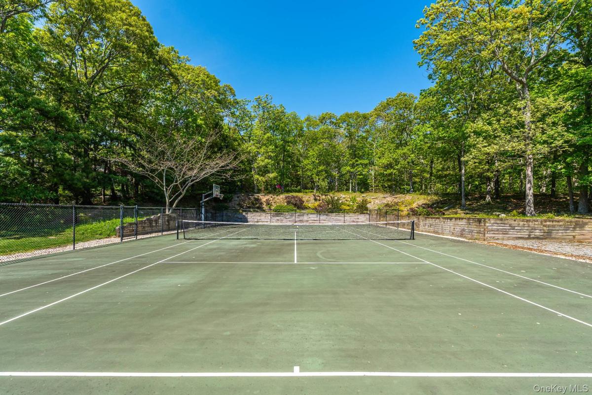 Tennis & Basketball