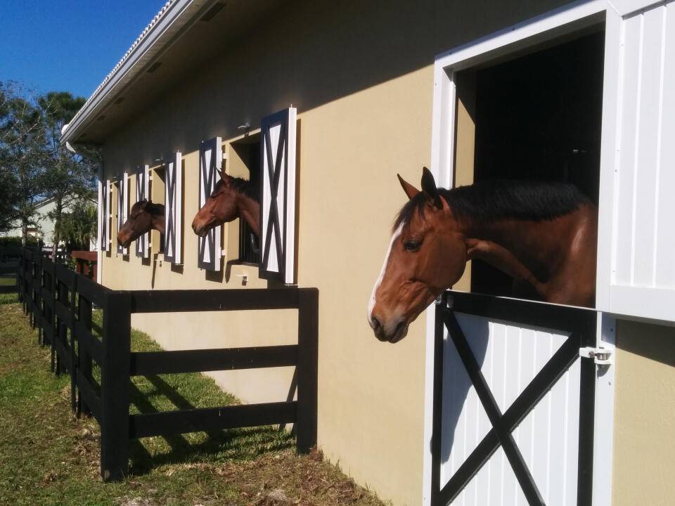 Beautiful new 10 stall barn for rent in Wellington FL, short hack to WEF, huge GGT ring, full set of jumps, direct bridal trail access, tractor with drag and bucket ...