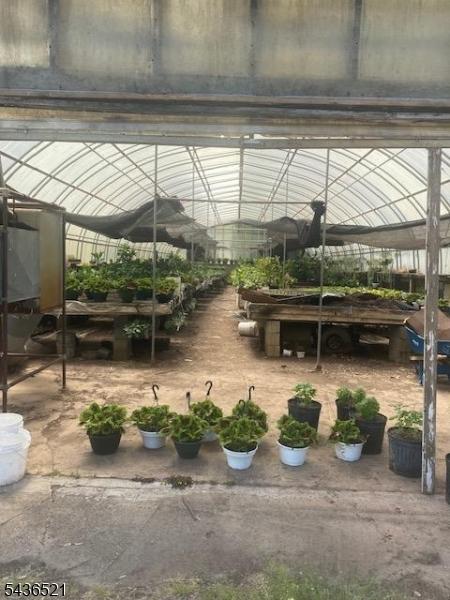 Greenhouse 4