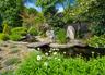 Tranquil and Serene Pond with Waterfall