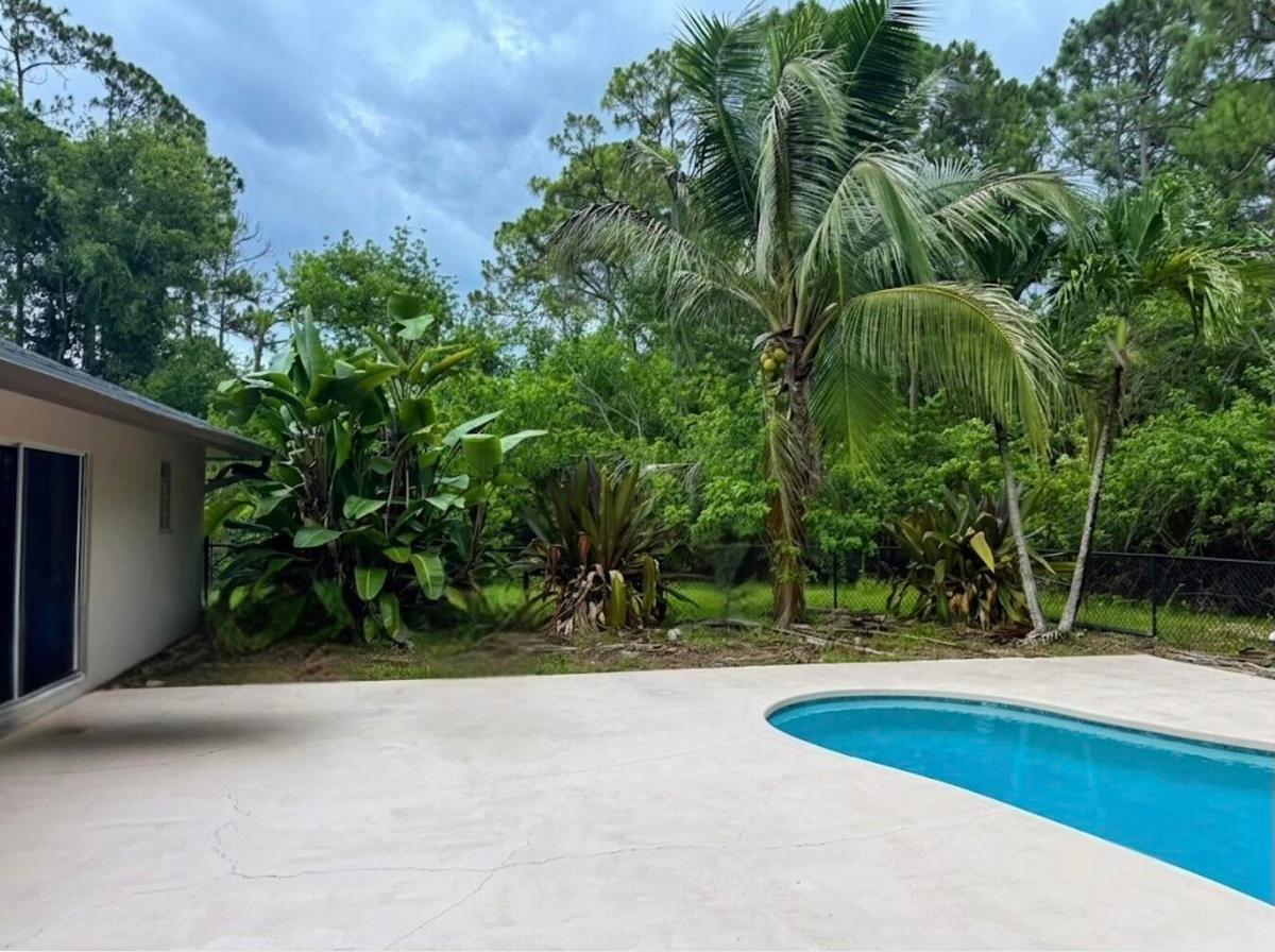 Curved swimming pool with a surrounding concrete deck, mature palm trees, and established tropical landscaping