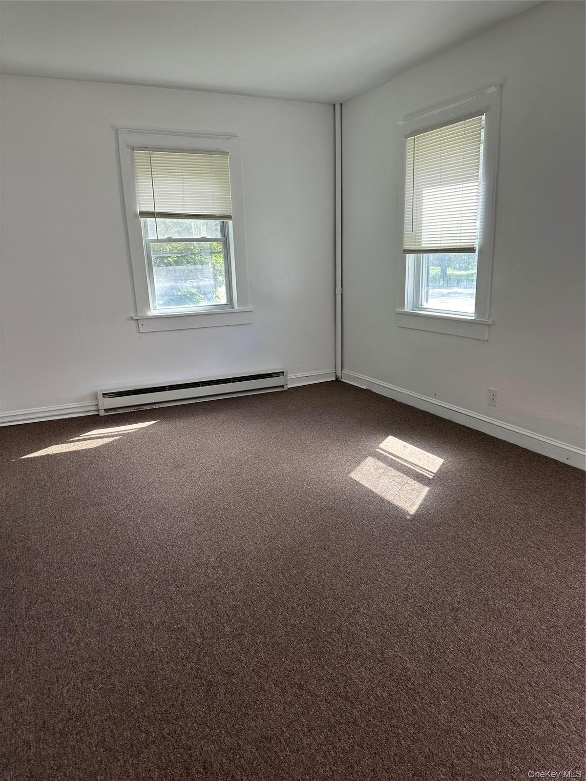 Carpeted spare room featuring baseboard heating and a wealth of natural light