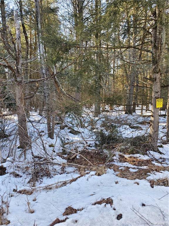 Quiet rural area. This lot has some pine and hardwoods, pick your building site back away from the road for private woody landscaping, this is one of those lots that ...