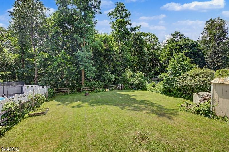 View of Backyard