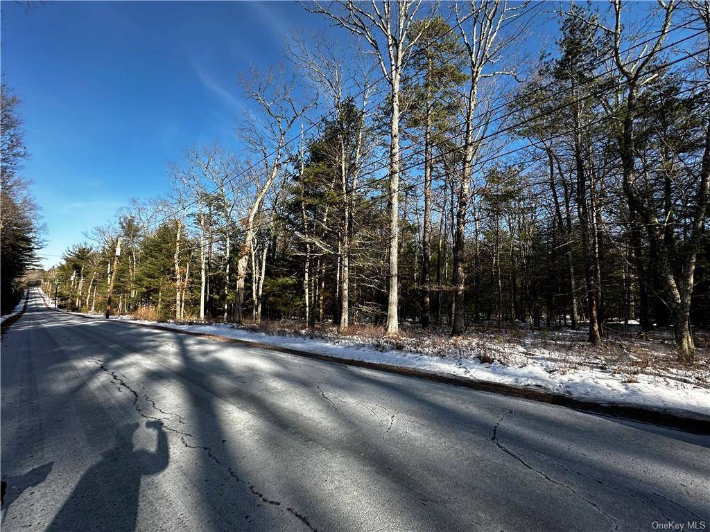Beautiful 5 1 2 acre wooded land for sale in Barryville NY.