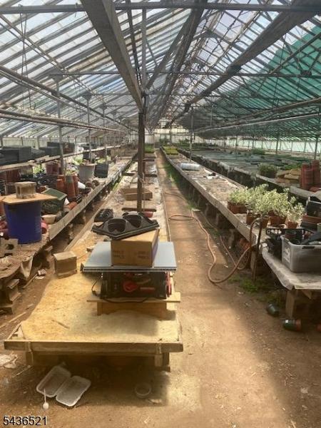 Greenhouse 3