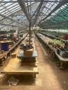 Greenhouse 3