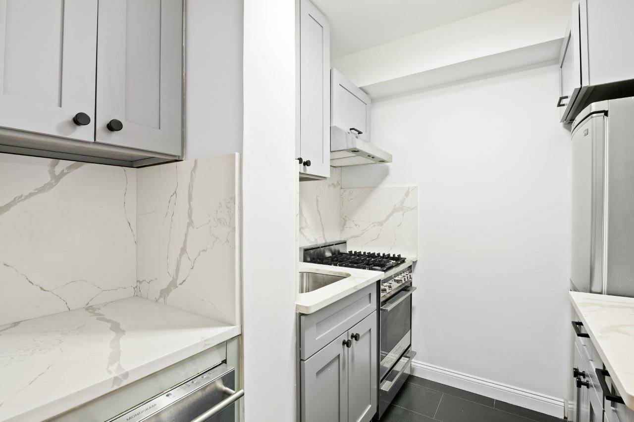 This 450 square foot newly renovated studio features a brand new kitchen and bath, a spacious hallway closet plus an enormous walk in closet.