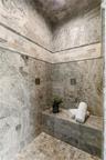 Primary steam shower