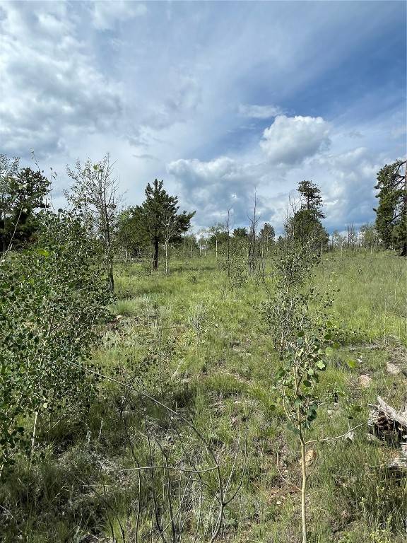 This beautiful 1 acre lot in Indian Mountain is the perfect build site for your dream cabin in the mountains.