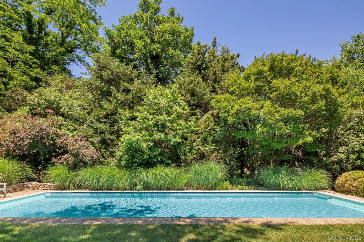 In-ground swimming pool with a stone coping border, surrounded by mature trees and lush landscaping