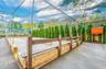 Bocce Court