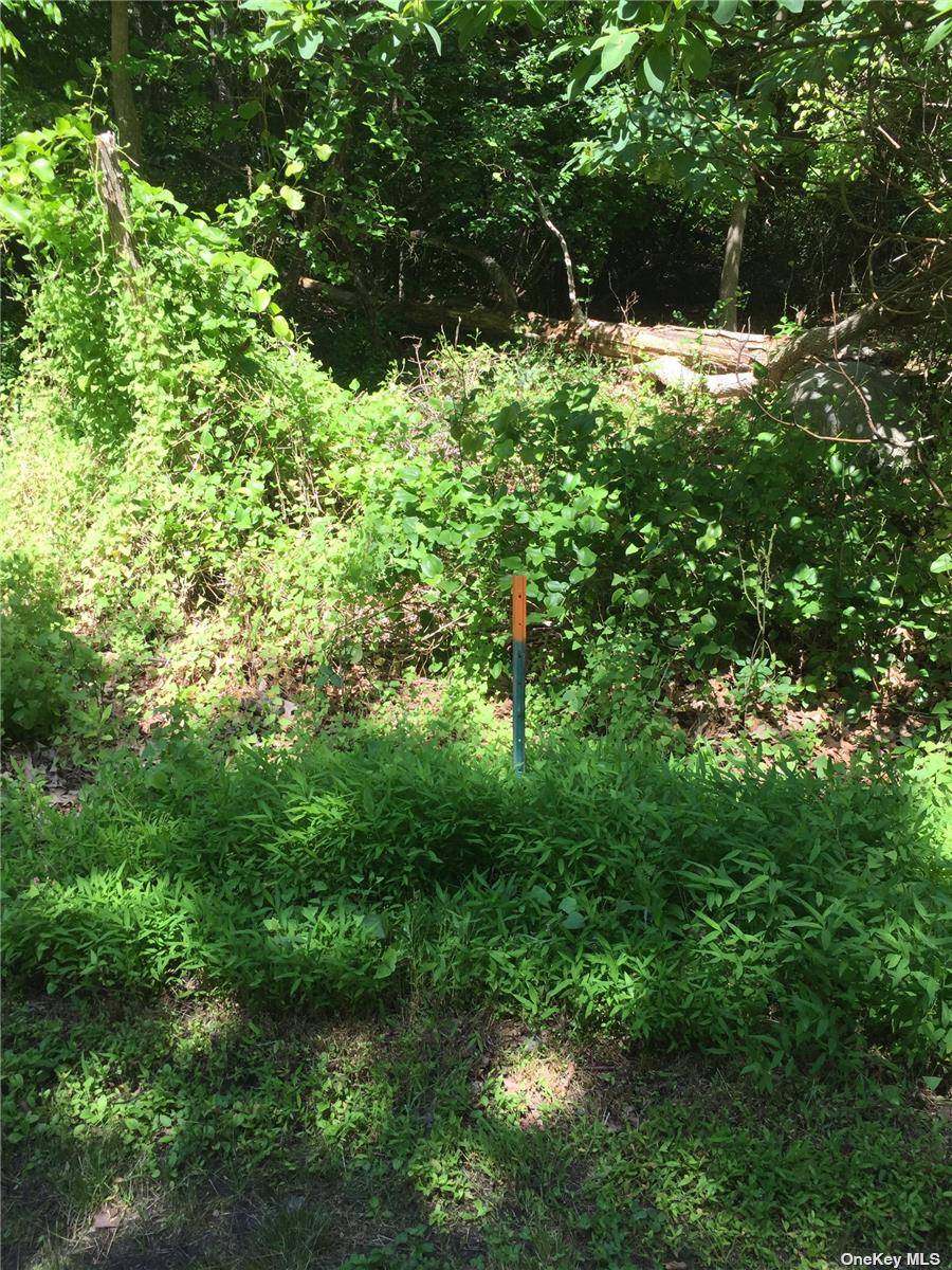 Vacant. 32 acre lot in Montauk abutting the Montauk Downs Golf Club.