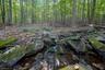 Babbling Brook