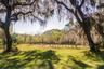 Tree Nursery