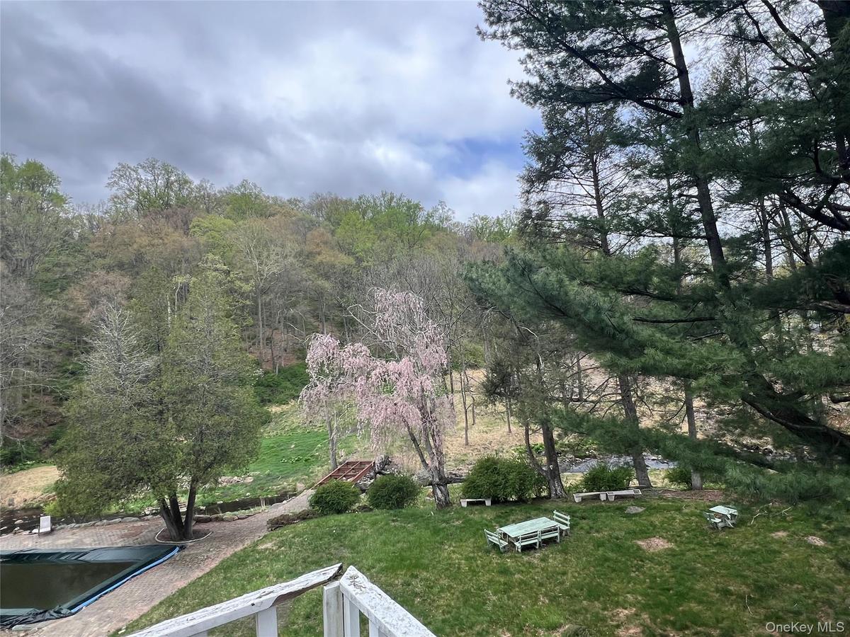 View of yard featuring a view of trees