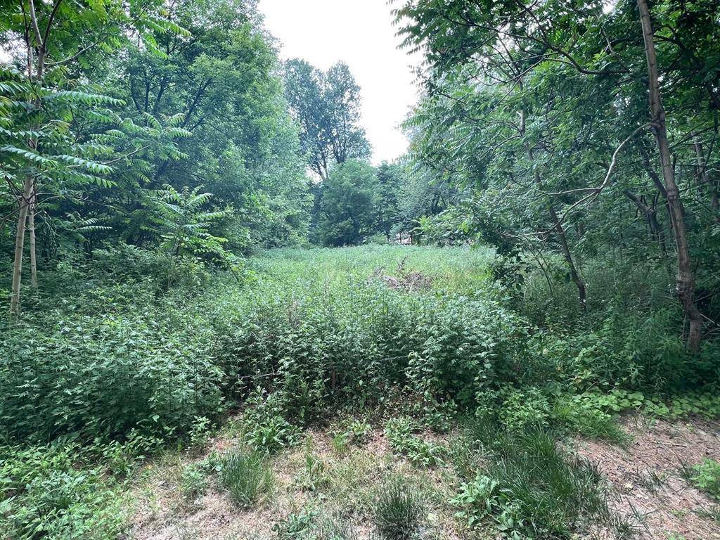 1. 2 acre building lot in a quiet family neighborhood.