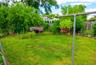 Luscious Backyard