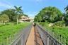 Evergrain Dock Pathway